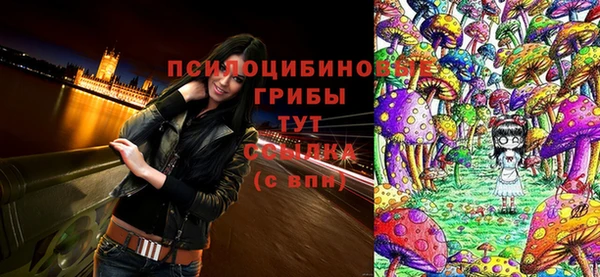 круглые Арсеньев