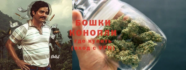 стафф Аркадак