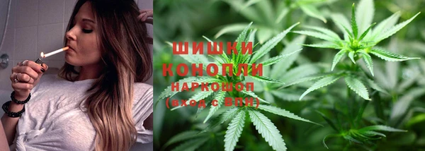 гидропоника Абаза