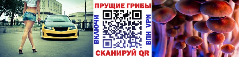 гидра   Кемерово  Галлюциногенные грибы мухоморы 