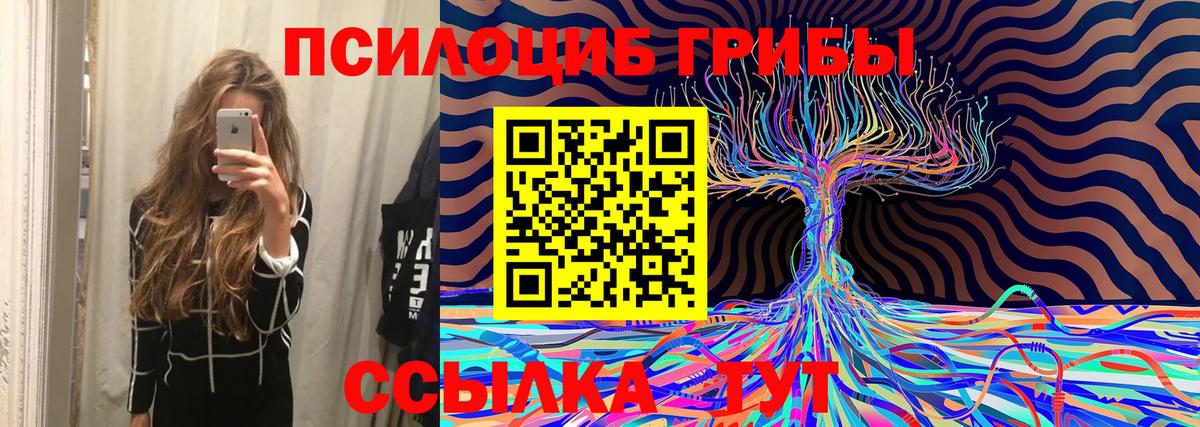 Кемерово  Псилоцибиновые грибы Magic Shrooms  Вход с VPN 