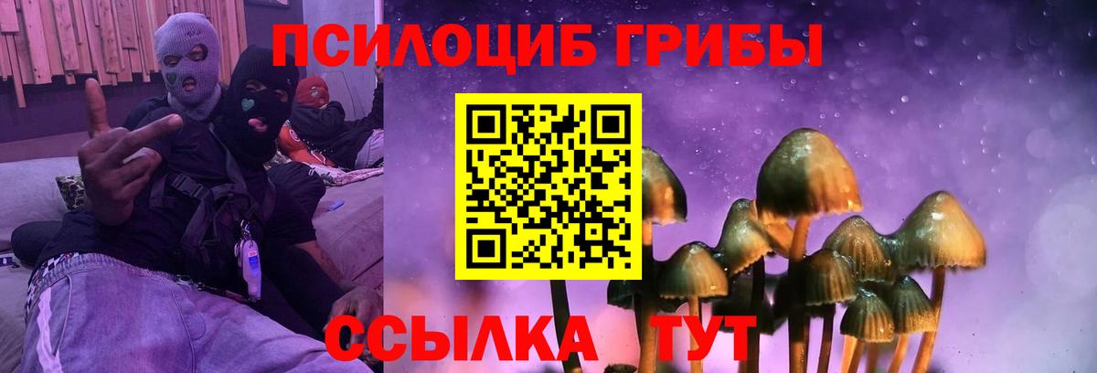 Псилоцибиновые грибы Cubensis Кемерово